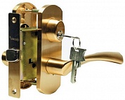 Картинка Ручка на овальной накладке Archie T111-X11-V1 матовое золото (I) с замком